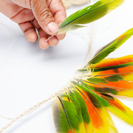 Image sur Schöpfer*innen (Private, Firmen, Uni/FH, F)