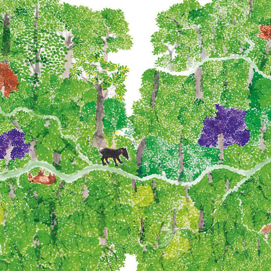 Image sur Alles lebt (Private, Firmen, Uni/FH, F)